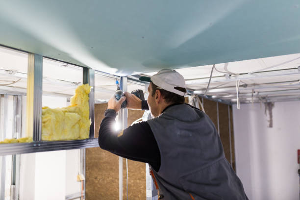 Best Fiberglass Insulation in Kekoskee, WI